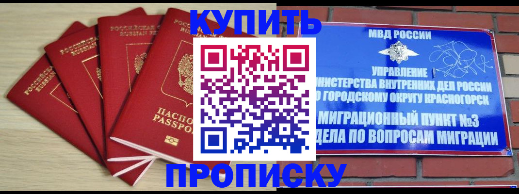 временная регистрация для всех в Брянской области
